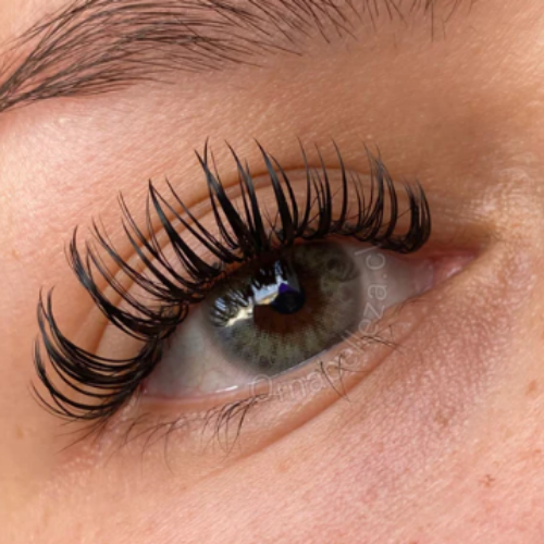 Dna Taylor Green Gray Freshlady