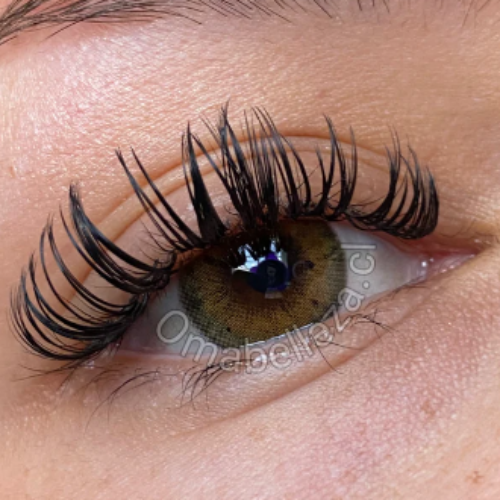 Stunna Girl Kamille (Pardo) - Freshlady