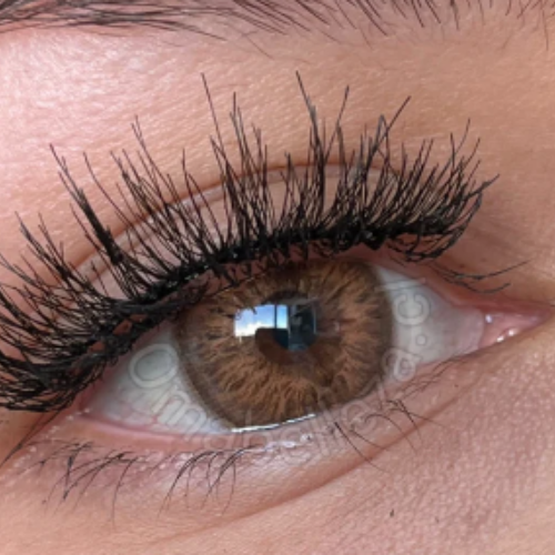 Love Letter Freshlady